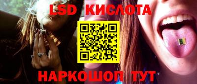 крисы Можга