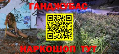 крисы Можга