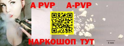 гашик Моздок
