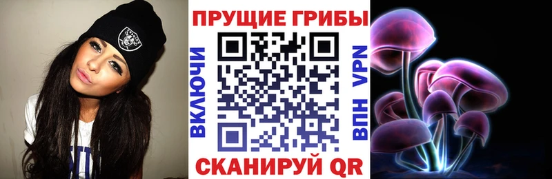 Псилоцибиновые грибы Psilocybine cubensis Зерноград