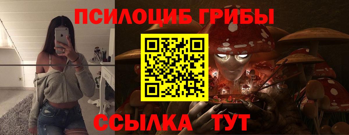 Псилоцибиновые грибы прущие грибы Зерноград